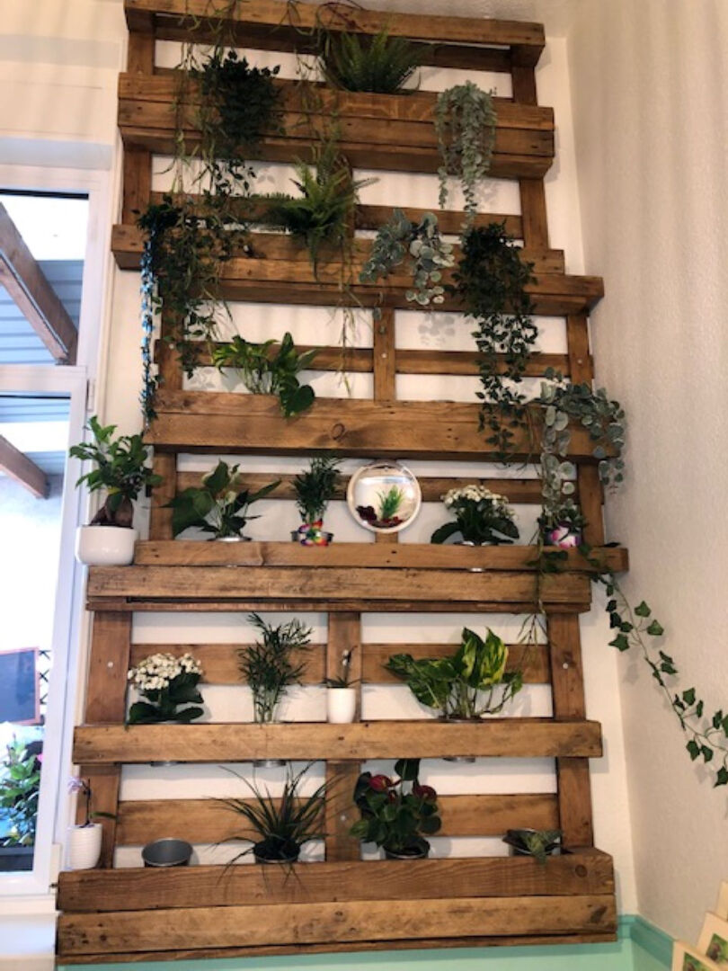 Photo A vendre en exclusivité fonds de commerce du restaurant ZEN à Chatel-Saint-Germain image 3/6