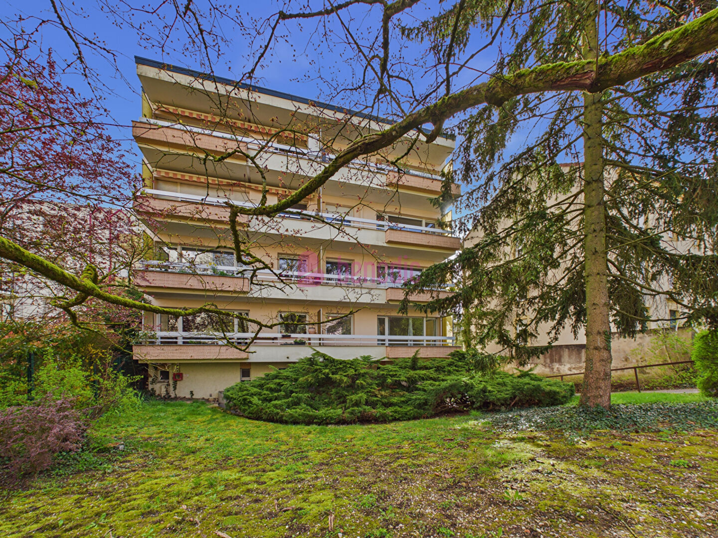 Agence immobilière de BENEDIC  Metz