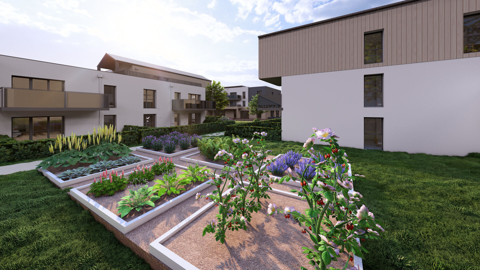 Photo PROGRAMME DE POUILLY image 1/6