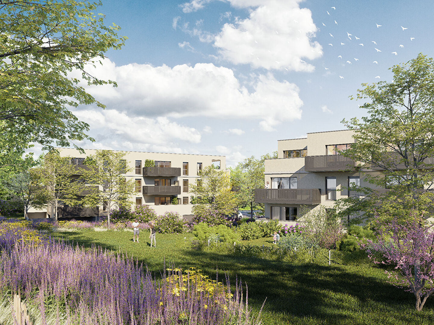 Photo Programme neuf Mont Saint Martin image 1/5