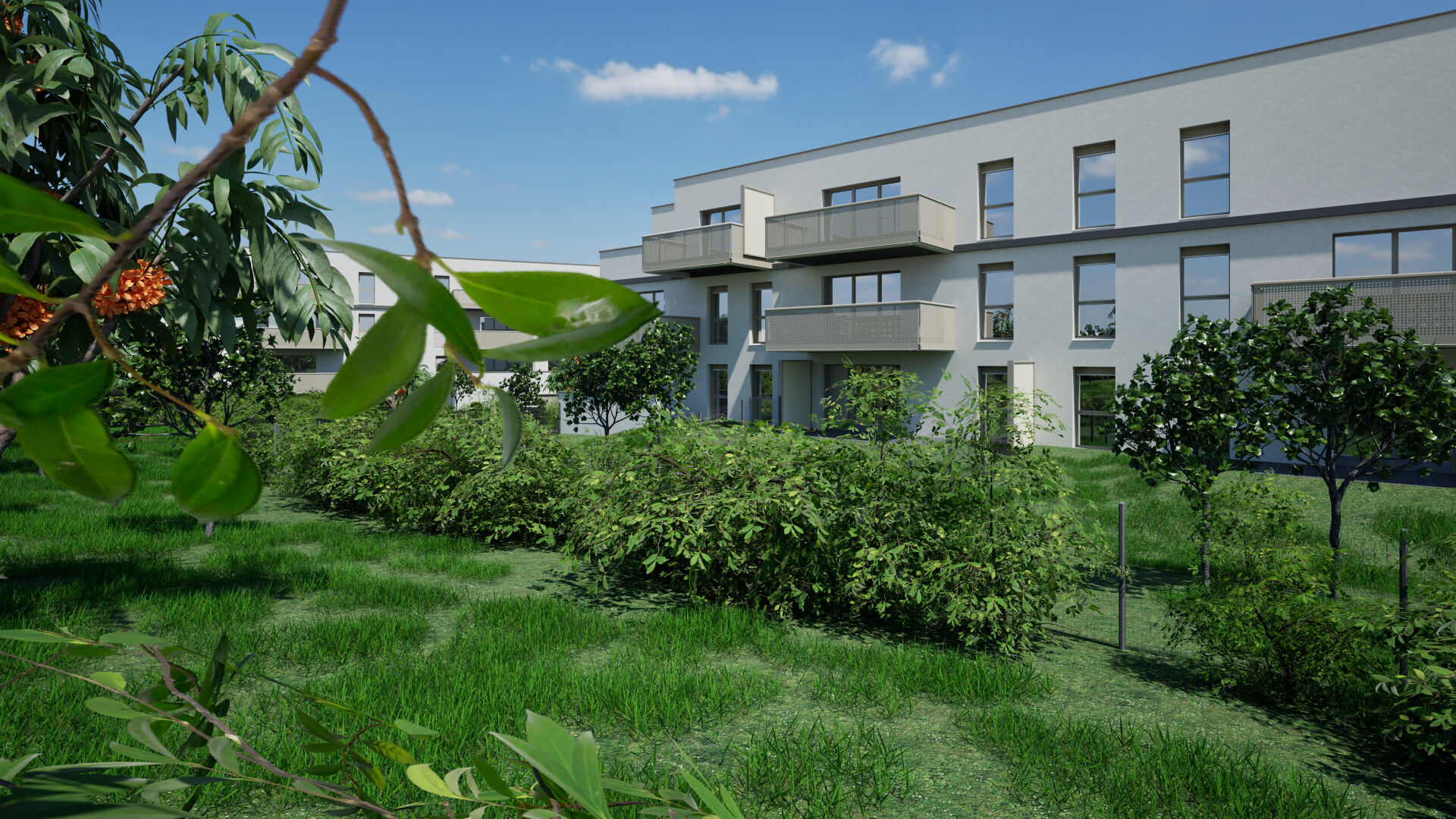 Photo Programme neuf Mont Saint Martin image 4/5