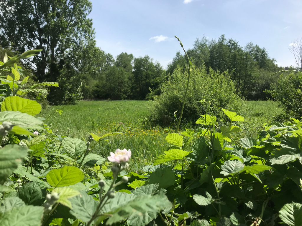 terrain en vente Aulnay sur iton