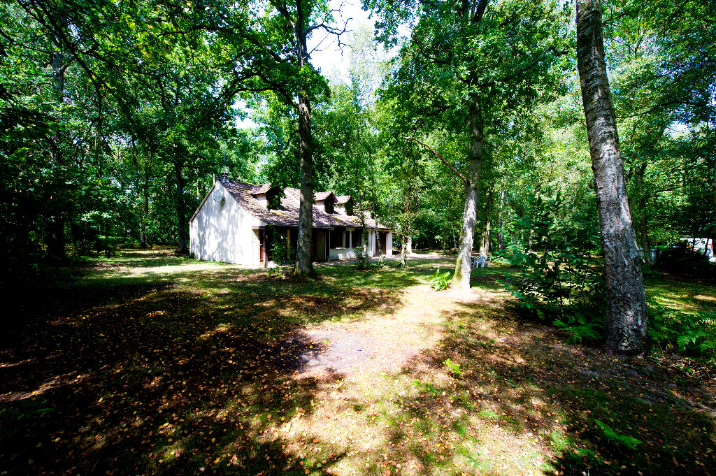 slideshow-1