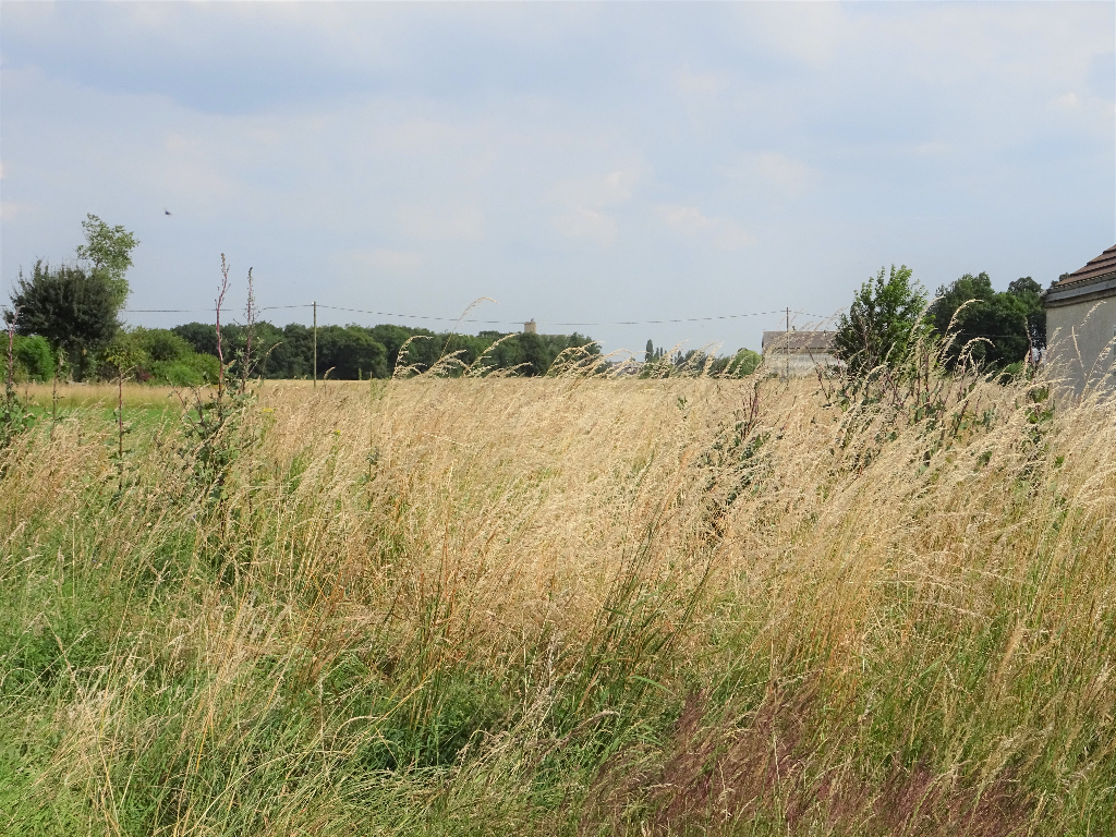 slideshow-1