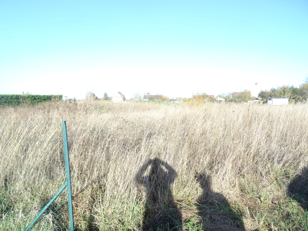 slideshow-1