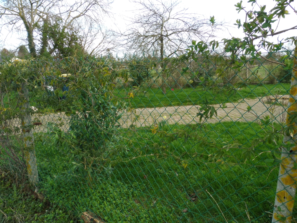slideshow-2