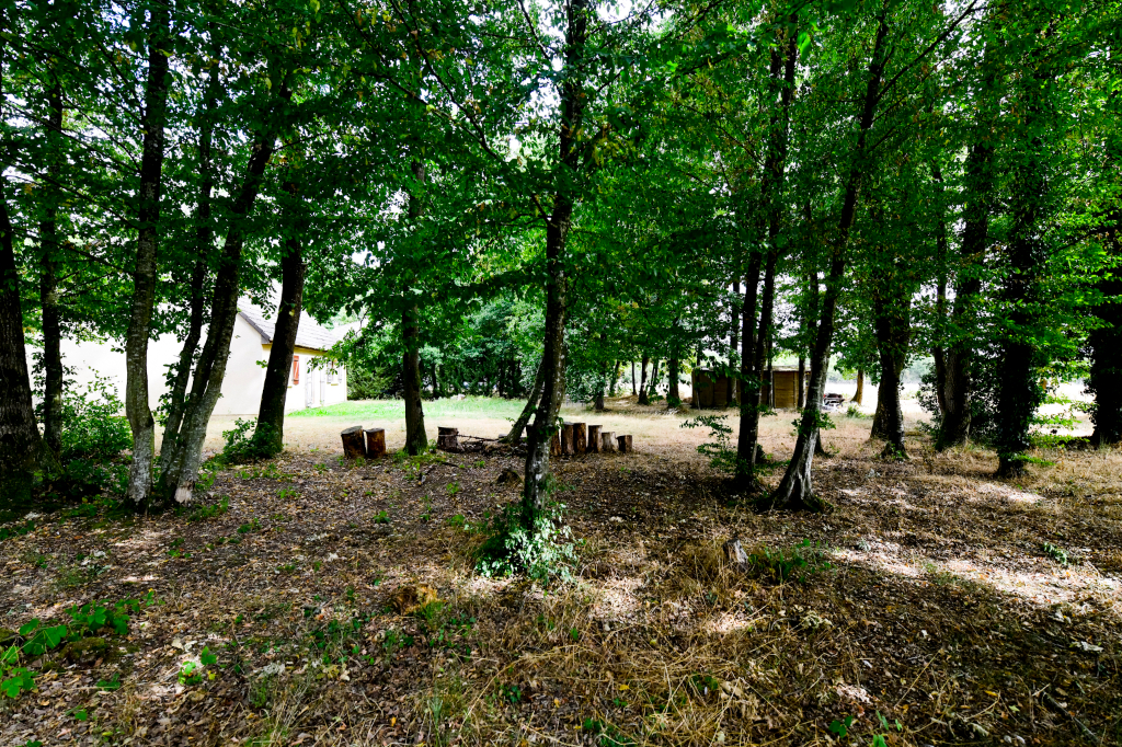 slideshow-2