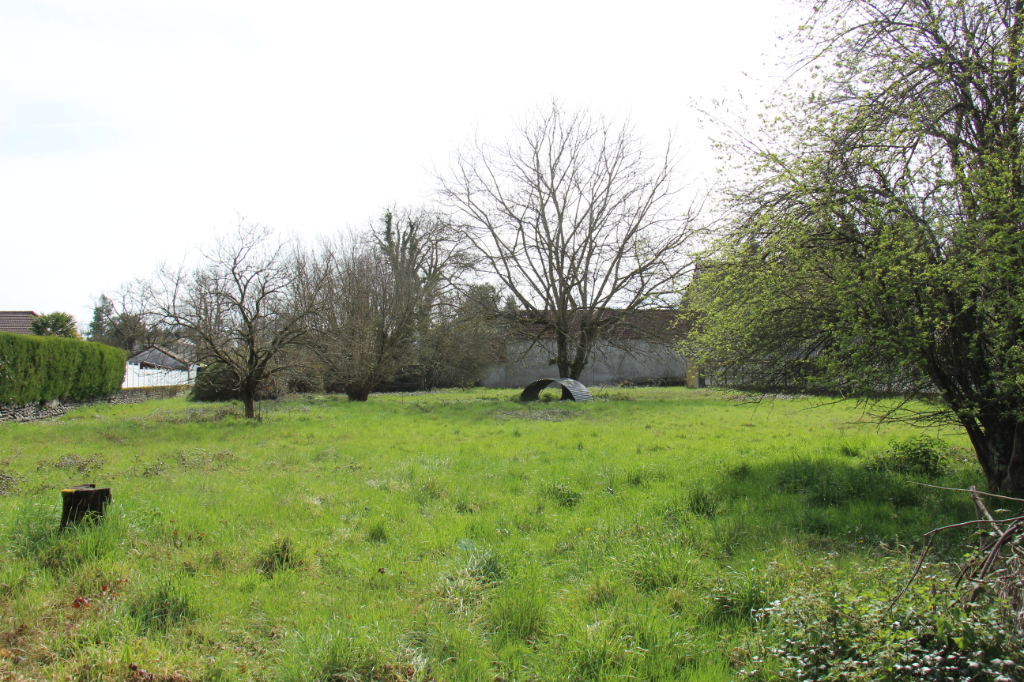 MIREPEIX Mirepeix 64800