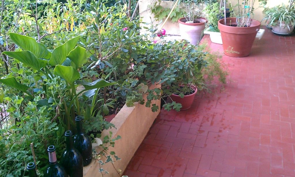 Photo Appartement Toulon 3 pièce(s) 64 m2 image 4/6