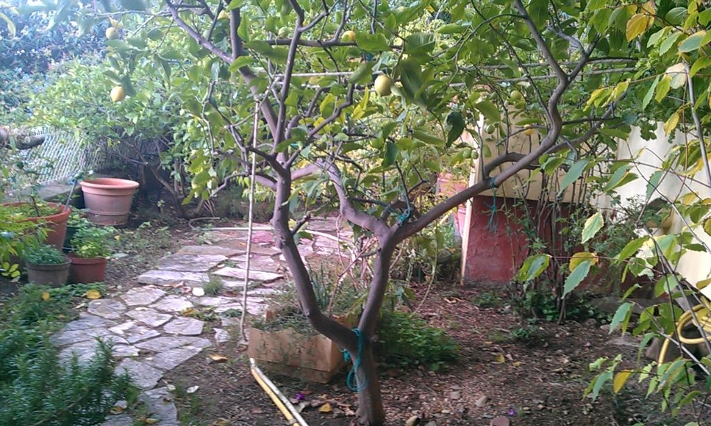 Photo Appartement Toulon 3 pièce(s) 64 m2 image 5/6