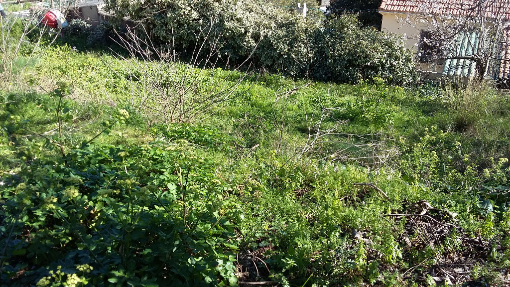 Photo Terrain Toulon 375 m2 image 2/3