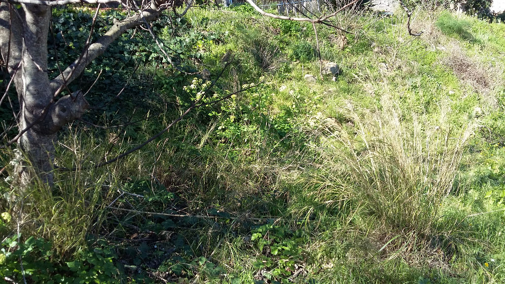 Photo Terrain Toulon 375 m2 image 3/3