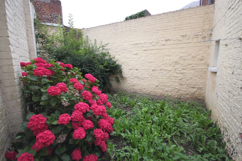 Photo Maison Cambrai 6 pièce(s) 173 m2 image 4/4