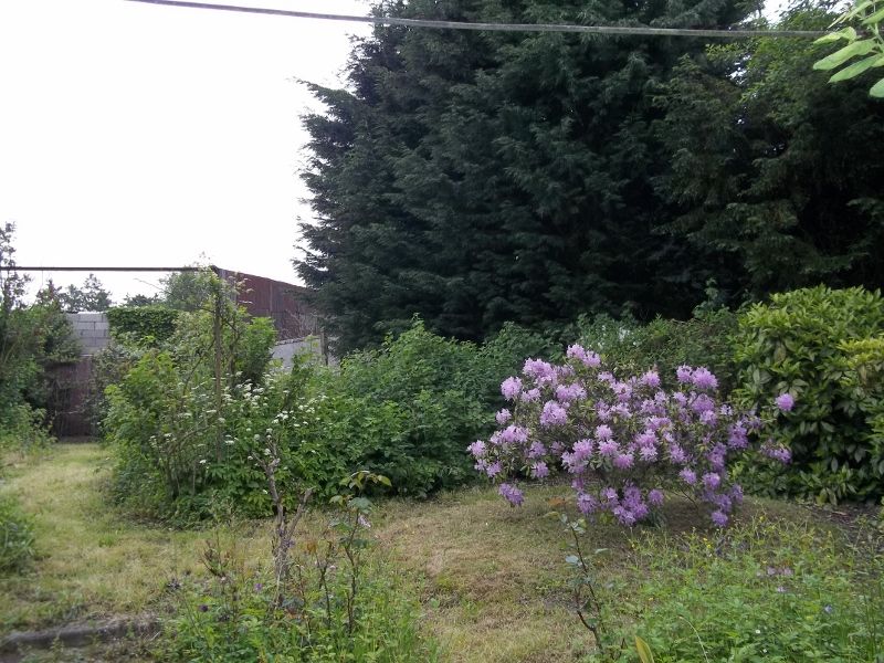 Photo Maison Caudry 4 pièce(s) 95 m2 image 2/4