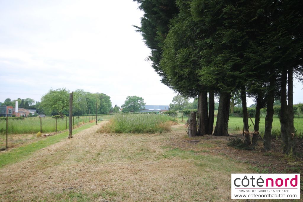 Photo Longere AXE CAUDRY/ Le Cateau Cambresis 10 pièce(s) 200 m2 image 5/6