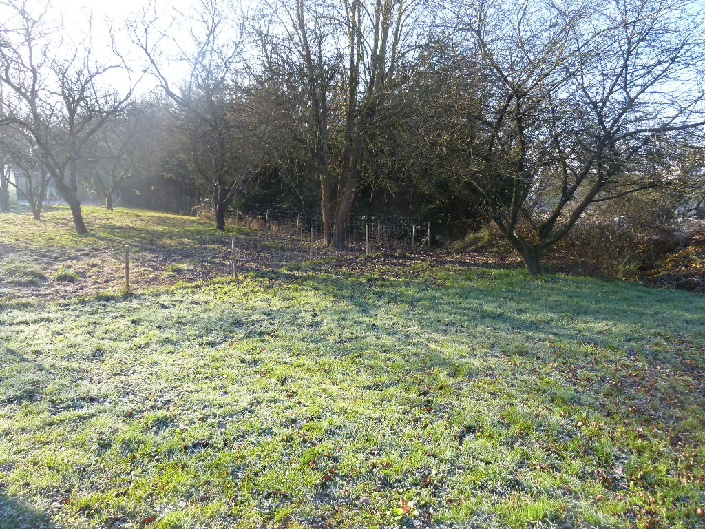 Photo Terrain contructible-Dogneville ( 88000 ) - 830 m2 image 3/6