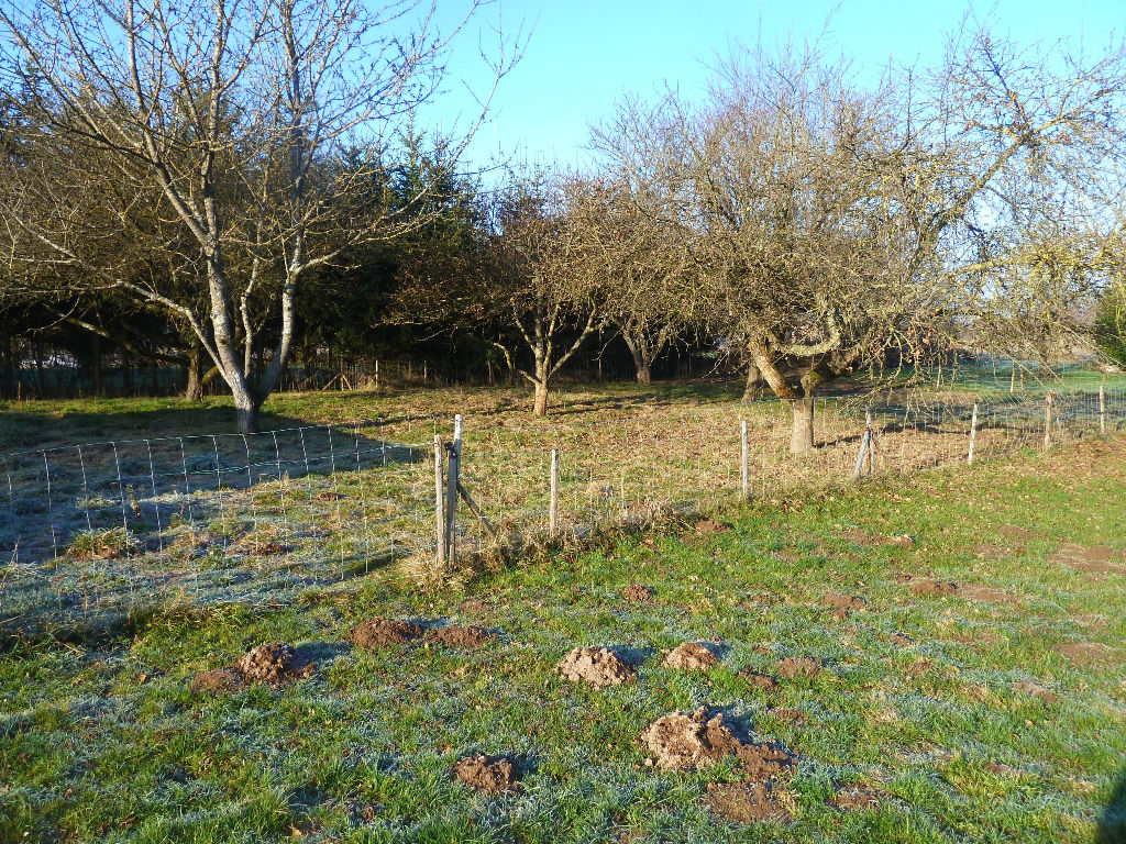 Photo Terrain contructible-Dogneville ( 88000 ) - 830 m2 image 5/6