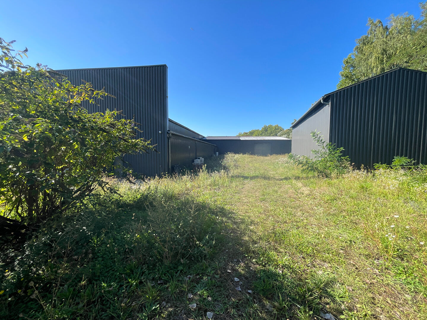 Photo Immeuble industriel ou commercial sur 6300 m2 de terrain image 3/6