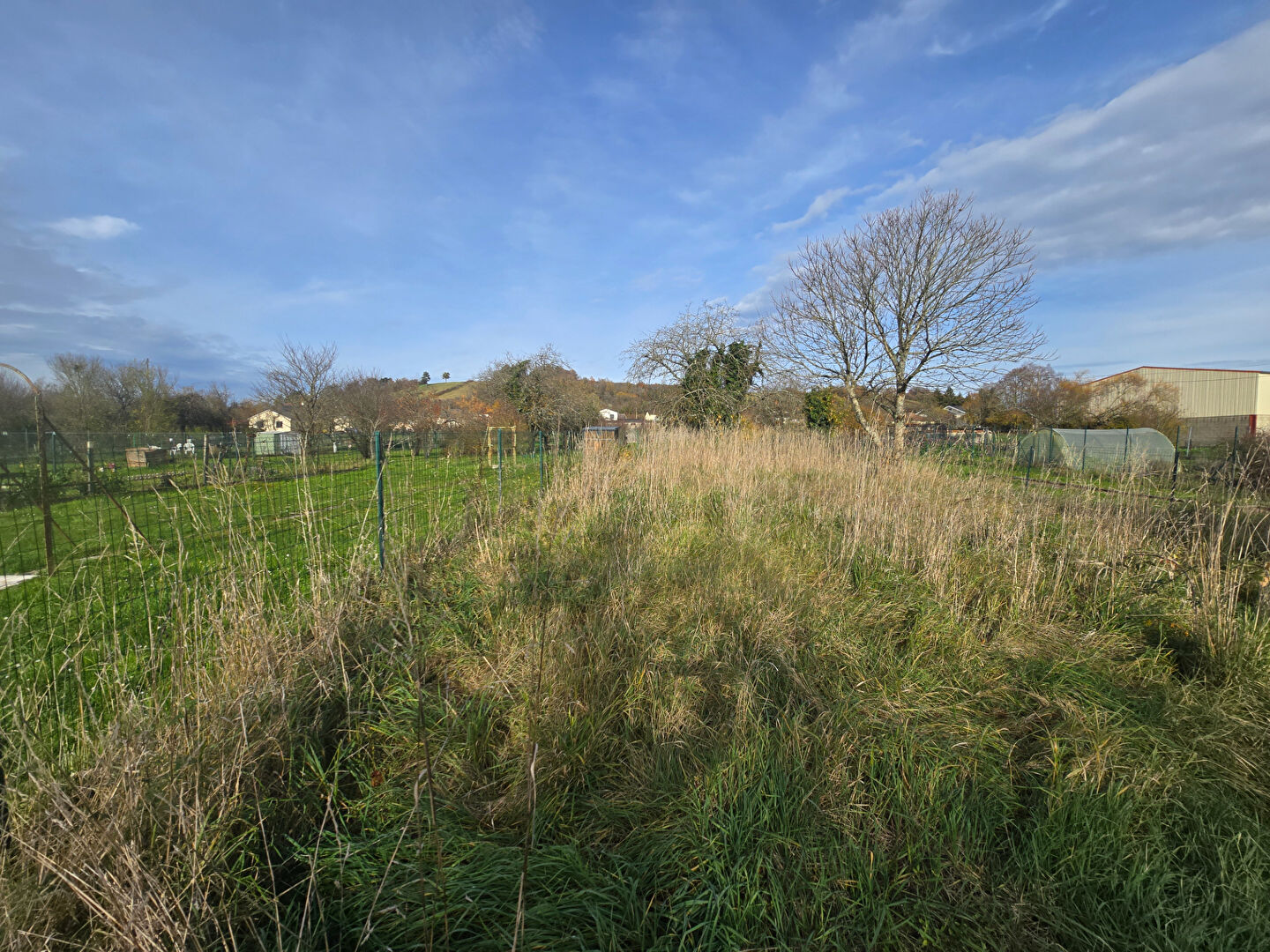 Photo Maison Nancois Sur Ornain 5 pièce(s) 150 m2 image 5/6