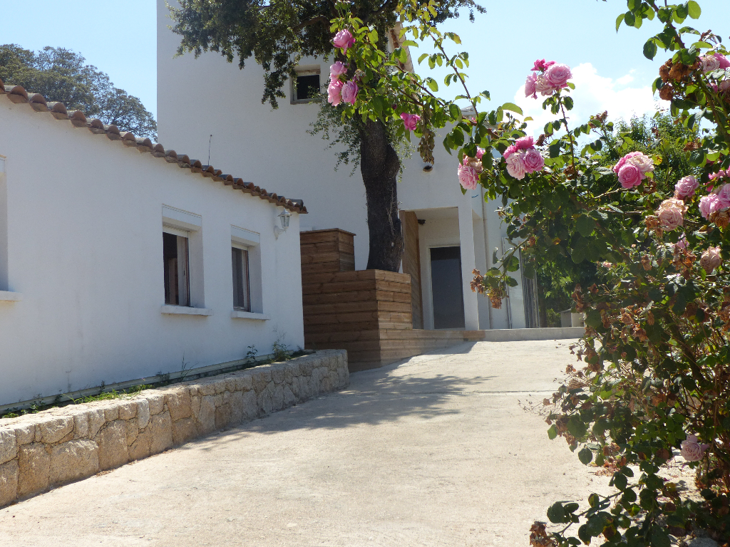 Vente Maison Porticcio Isolella Le Bon Coin