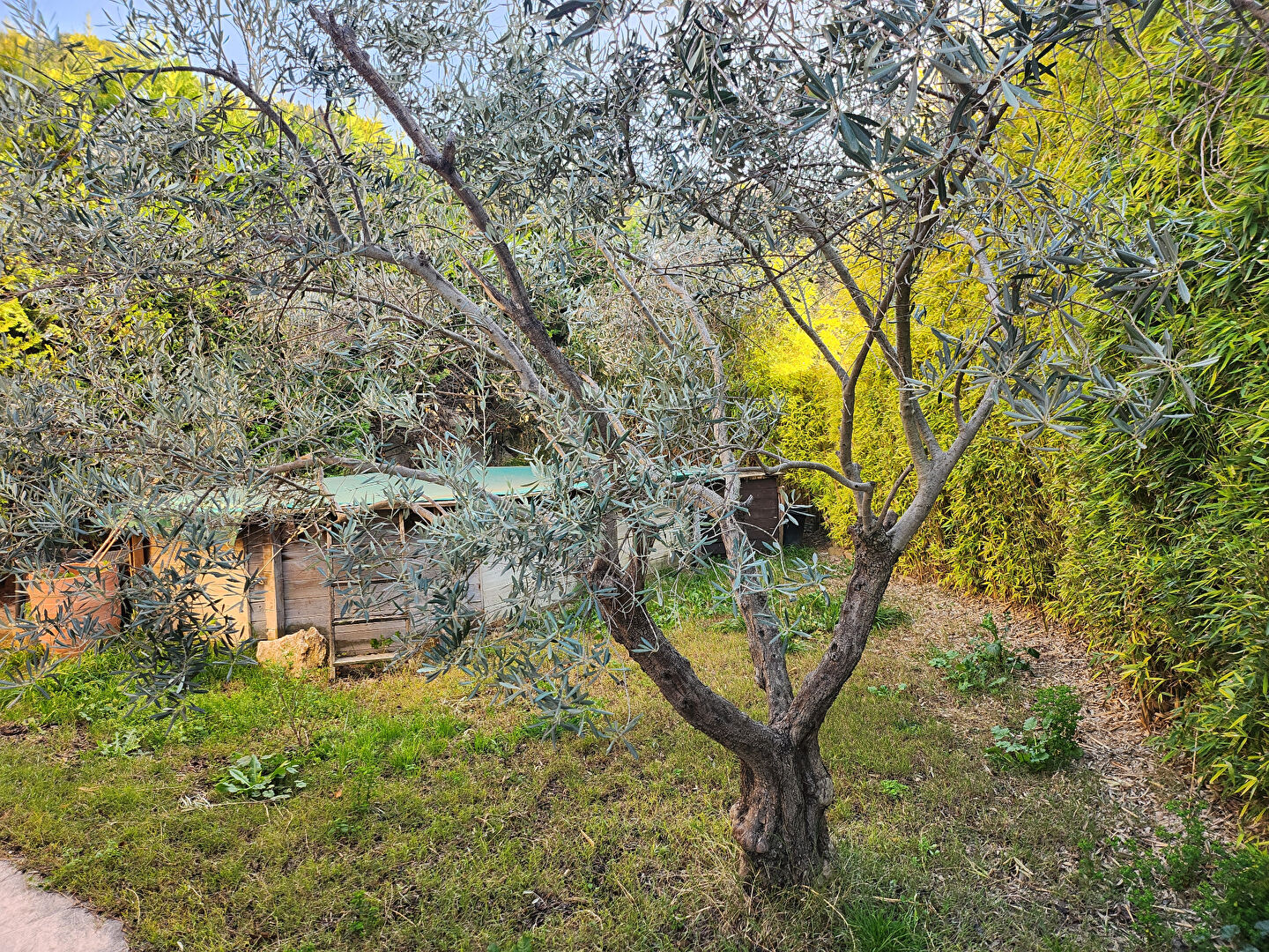 Maison à vendre Septèmes-les-Vallons avec Jardin, box et piscine.