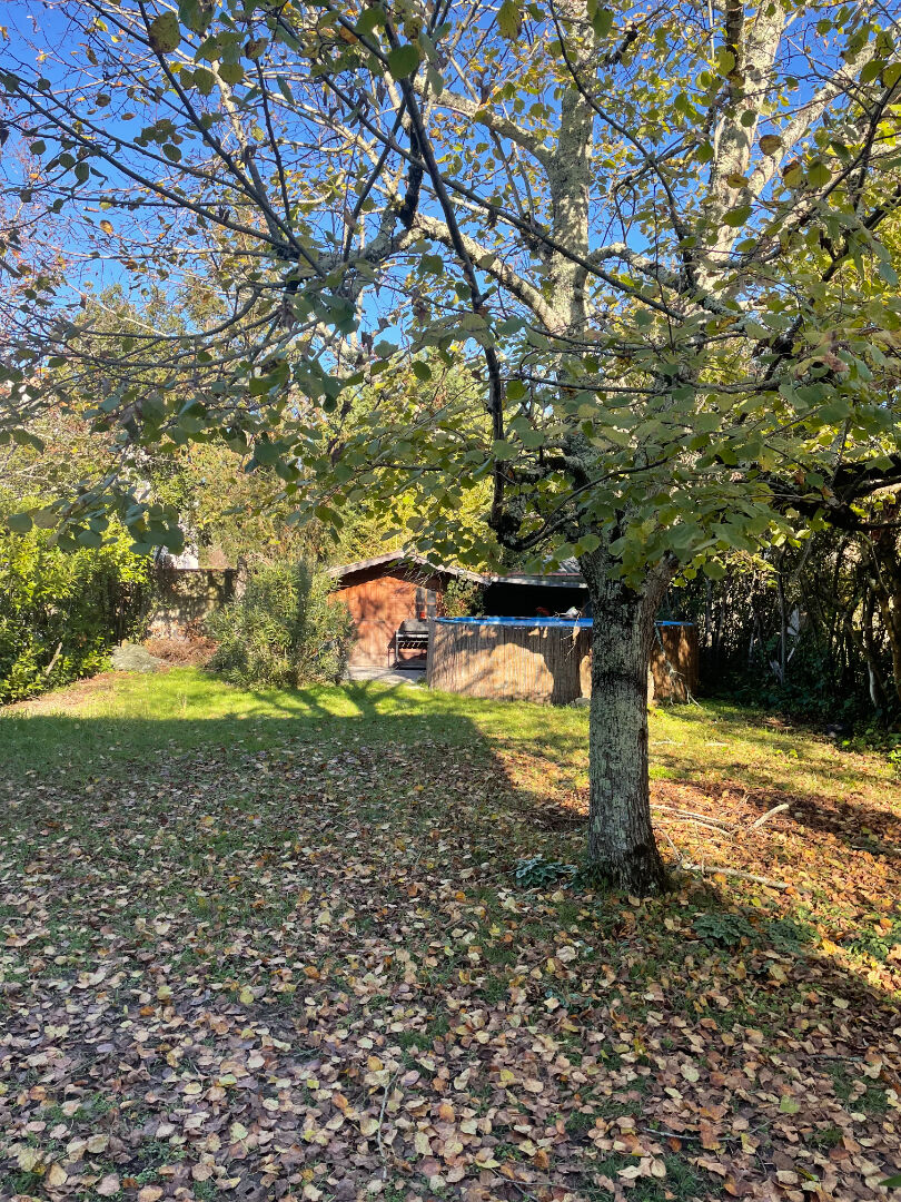 Photo Maison colocation Bdx Caudéran T4 image 3/6