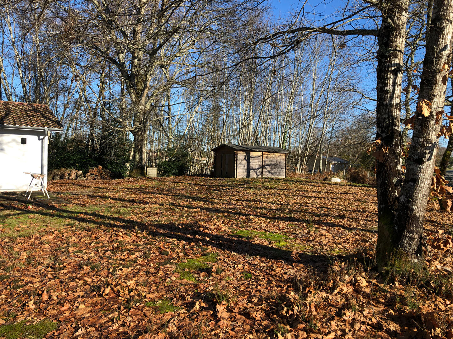 Photo A VENDRE - LACANAU de MIOS - maison en parfaite état d'environ image 6/6