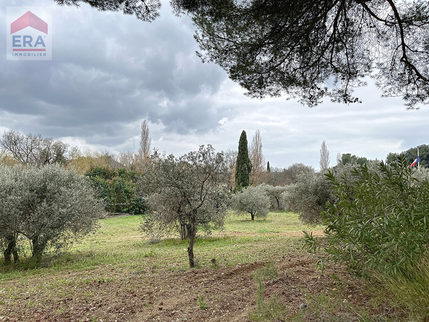 A vendre : Terrain contructible  viabilisé, vue dégagée et arboré d'oliviers à Ventabren de1060 m2