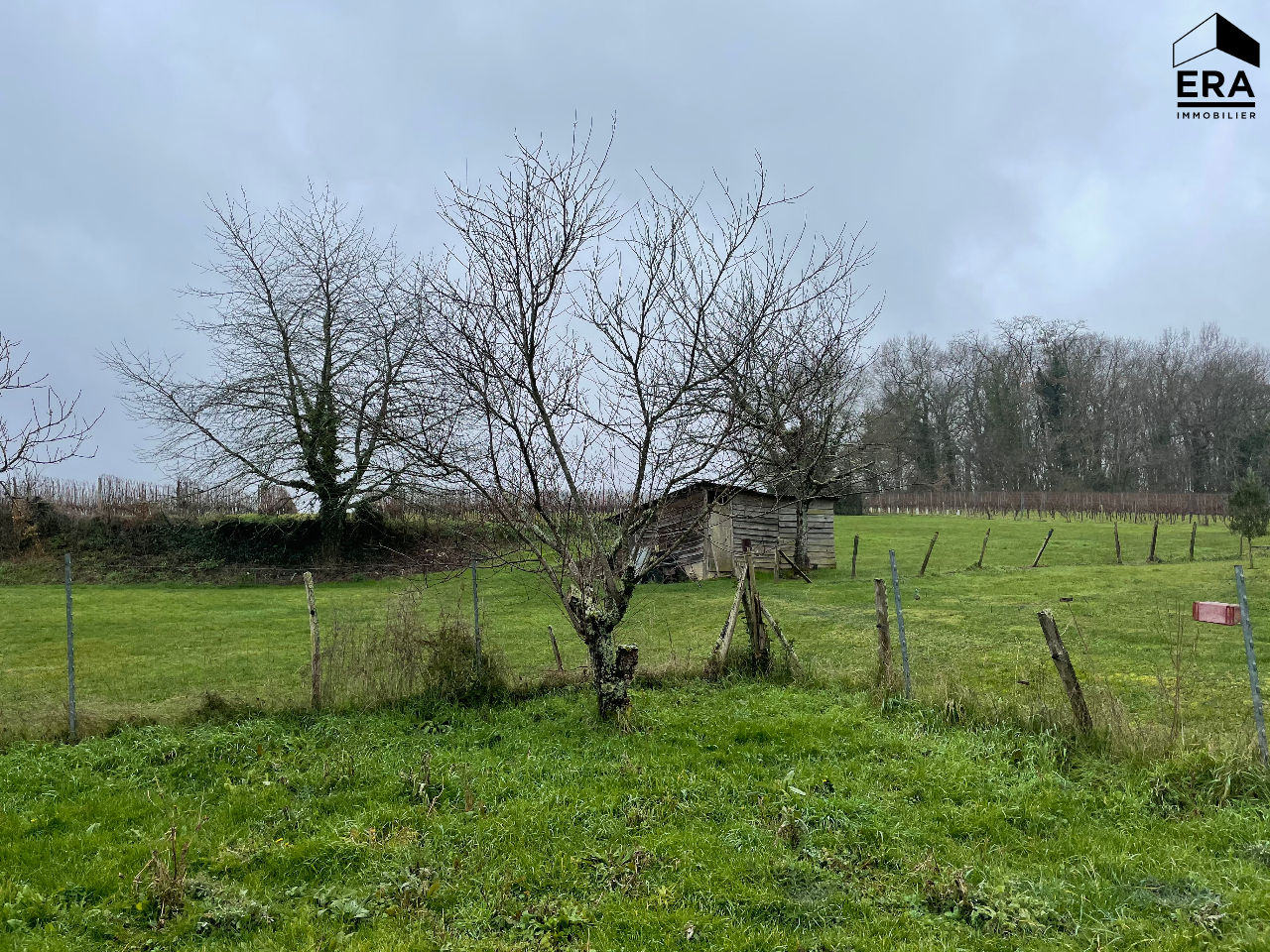Photo Maison à vendre à  St Germain Du Puch image 3/6