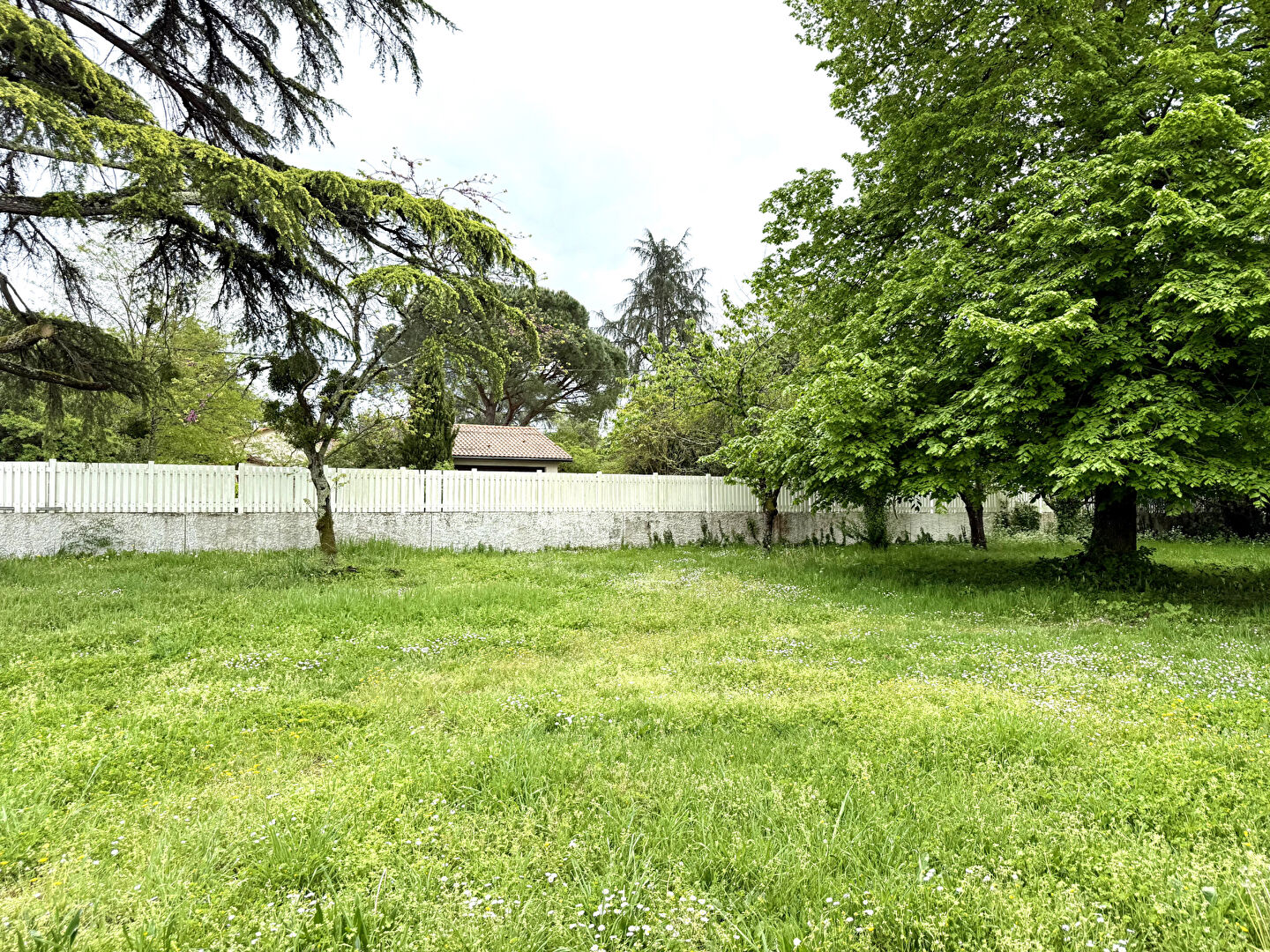 Photo Maison à vendre à Libourne image 2/6