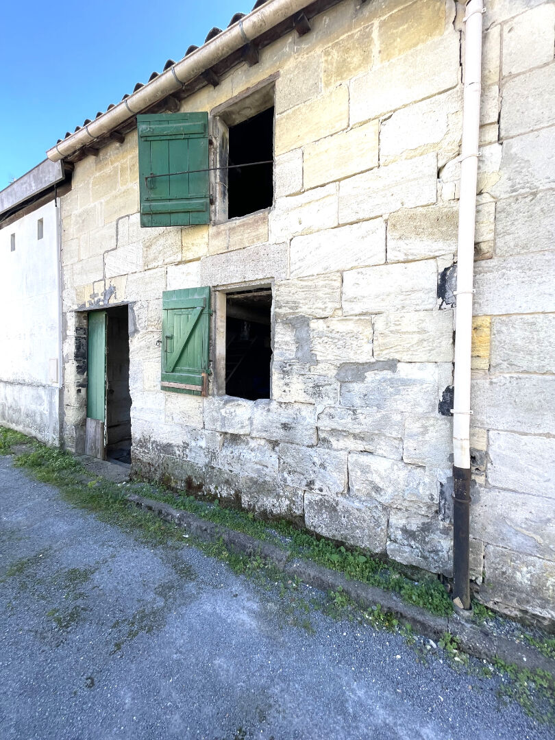 Photo Chai à vendre à Arveyres image 1/4