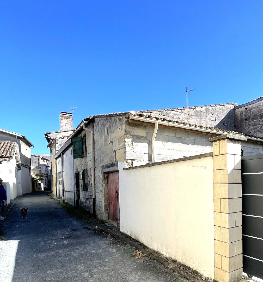 Photo Chai à vendre à Arveyres image 2/4