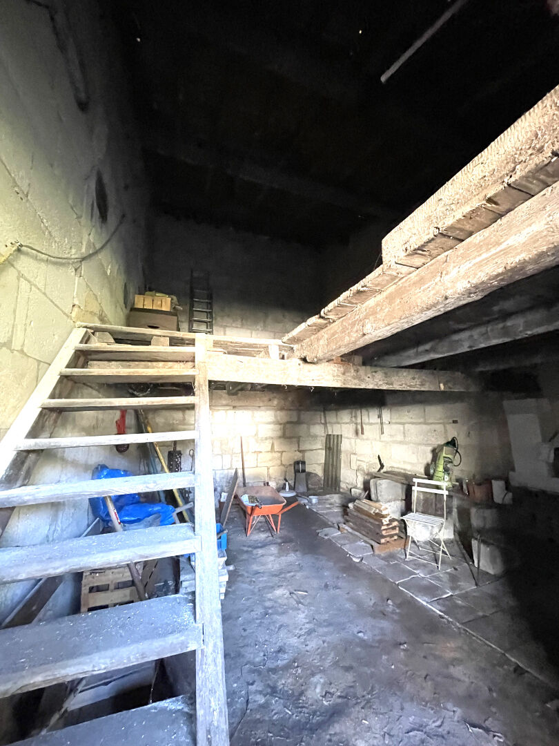 Photo Chai à vendre à Arveyres image 3/4