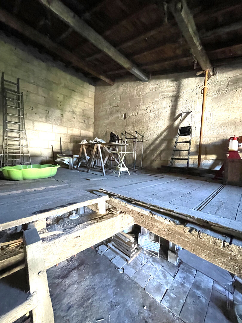 Photo Chai à vendre à Arveyres image 4/4