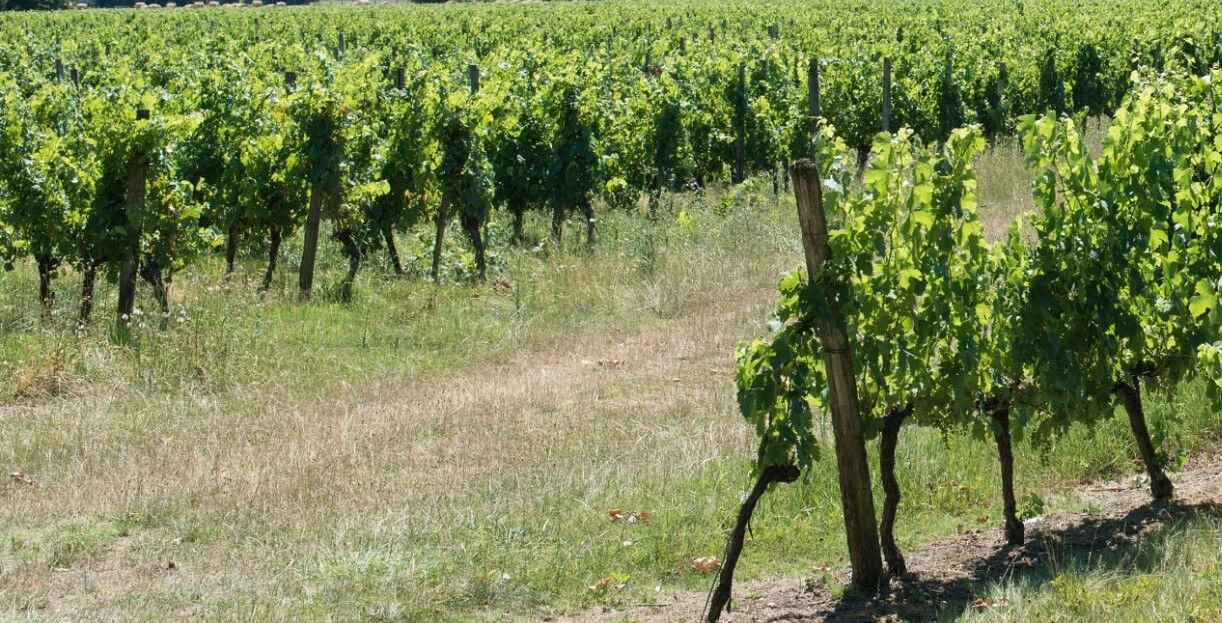 Agence immobilière de Era Grand 10 Immo - Libourne