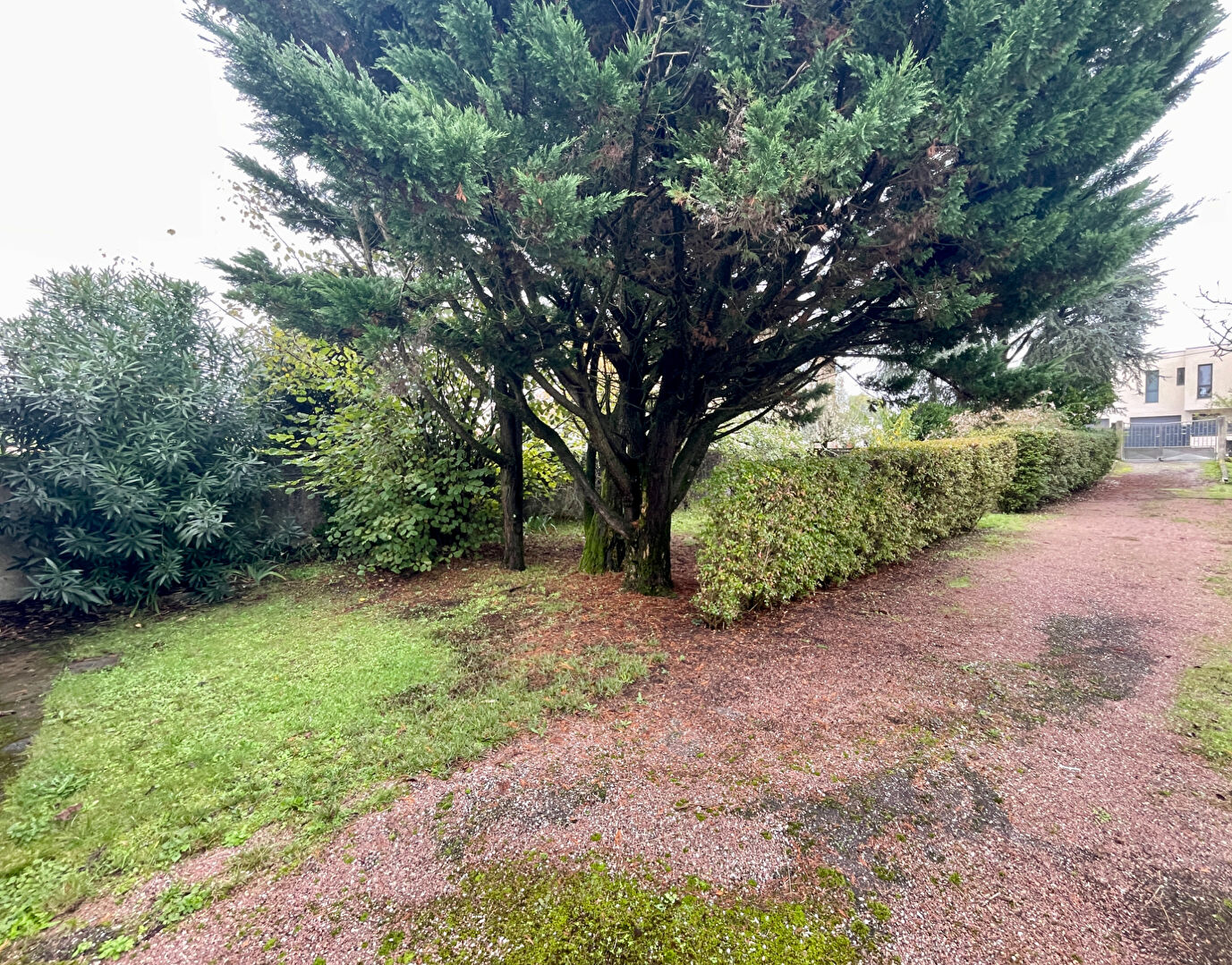 Photo Terrain Talence 404m2 image 2/2