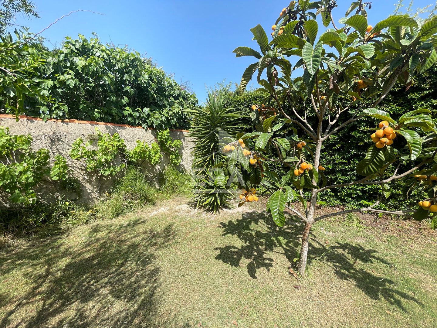 Photo Terrain- Martigues image 3/6