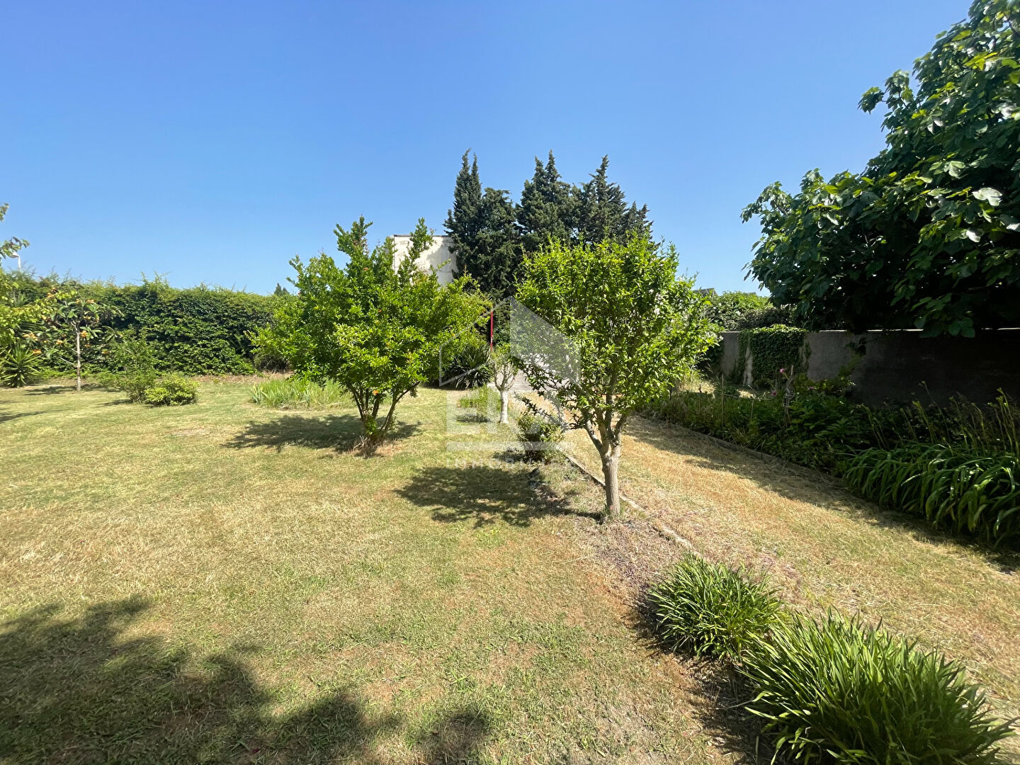 Photo Terrain- Martigues image 6/6
