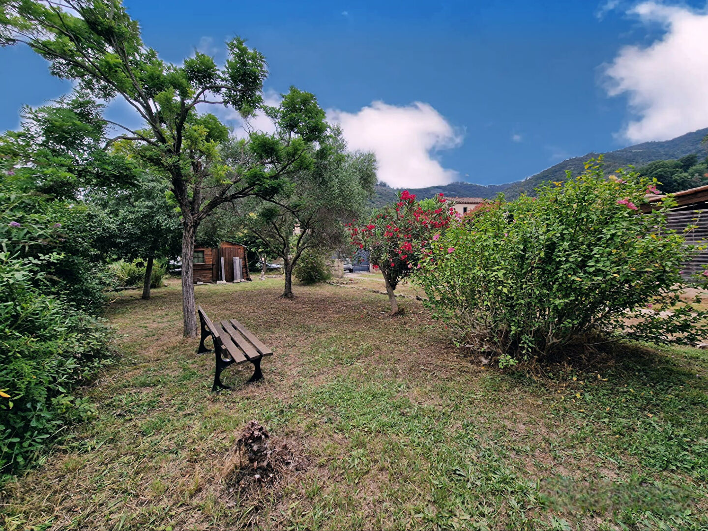 Photo VILLA 4 PIECES image 2/6