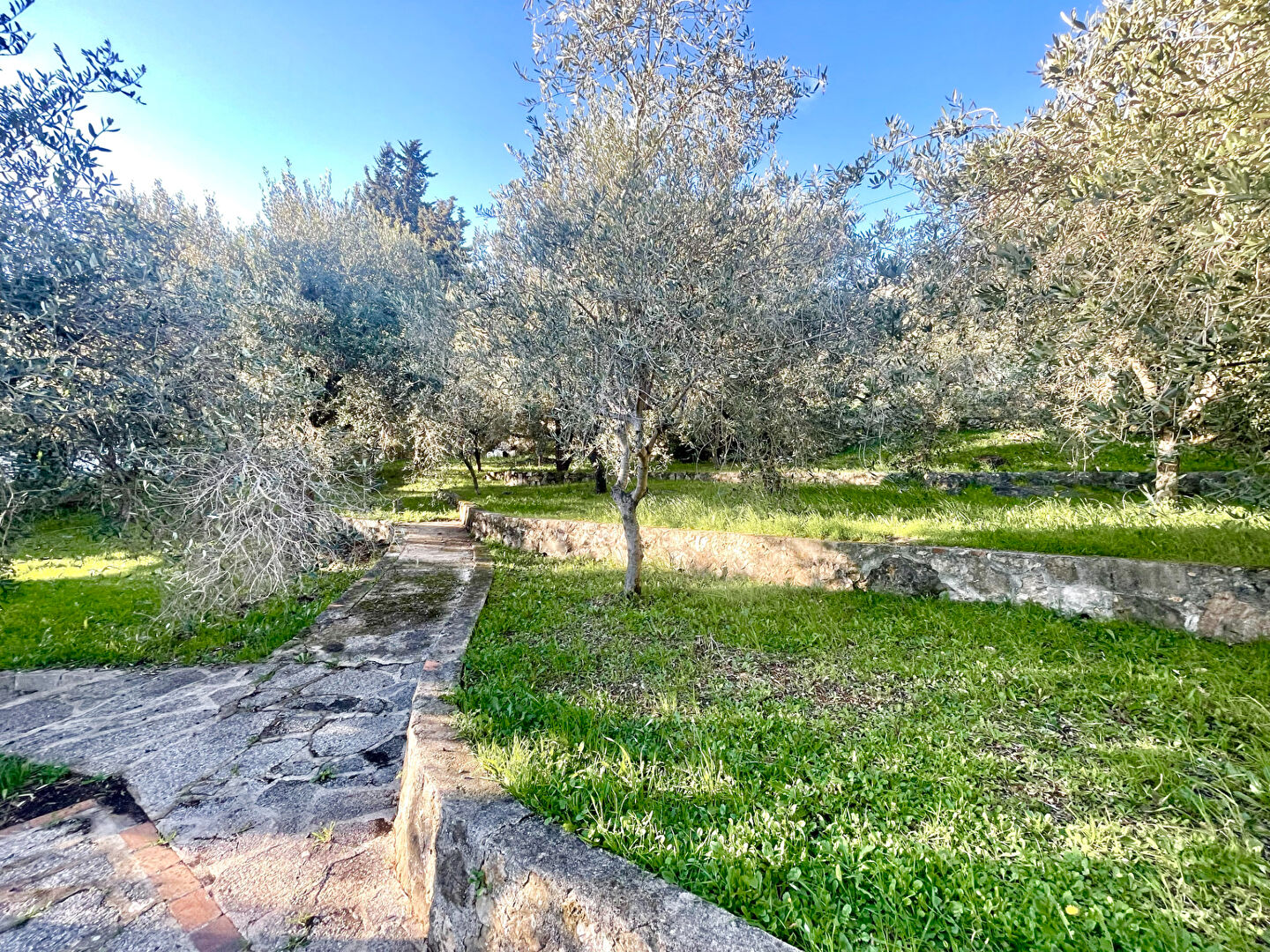 Photo VILLA INDIVIDUELLE 5 PIECES image 4/6