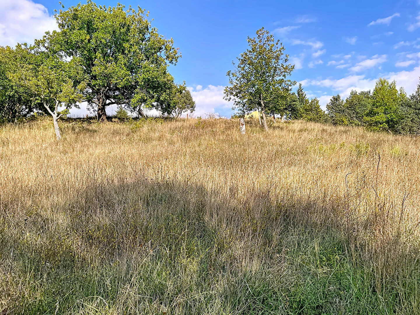 Photo Terrain à bâtir 1854 m² Montagnac Montpezat image 3/4