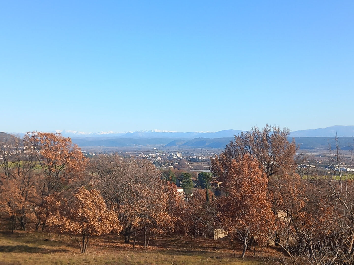 Photo MAISON T4 EN LOCATION PLAIN PIED image 4/6