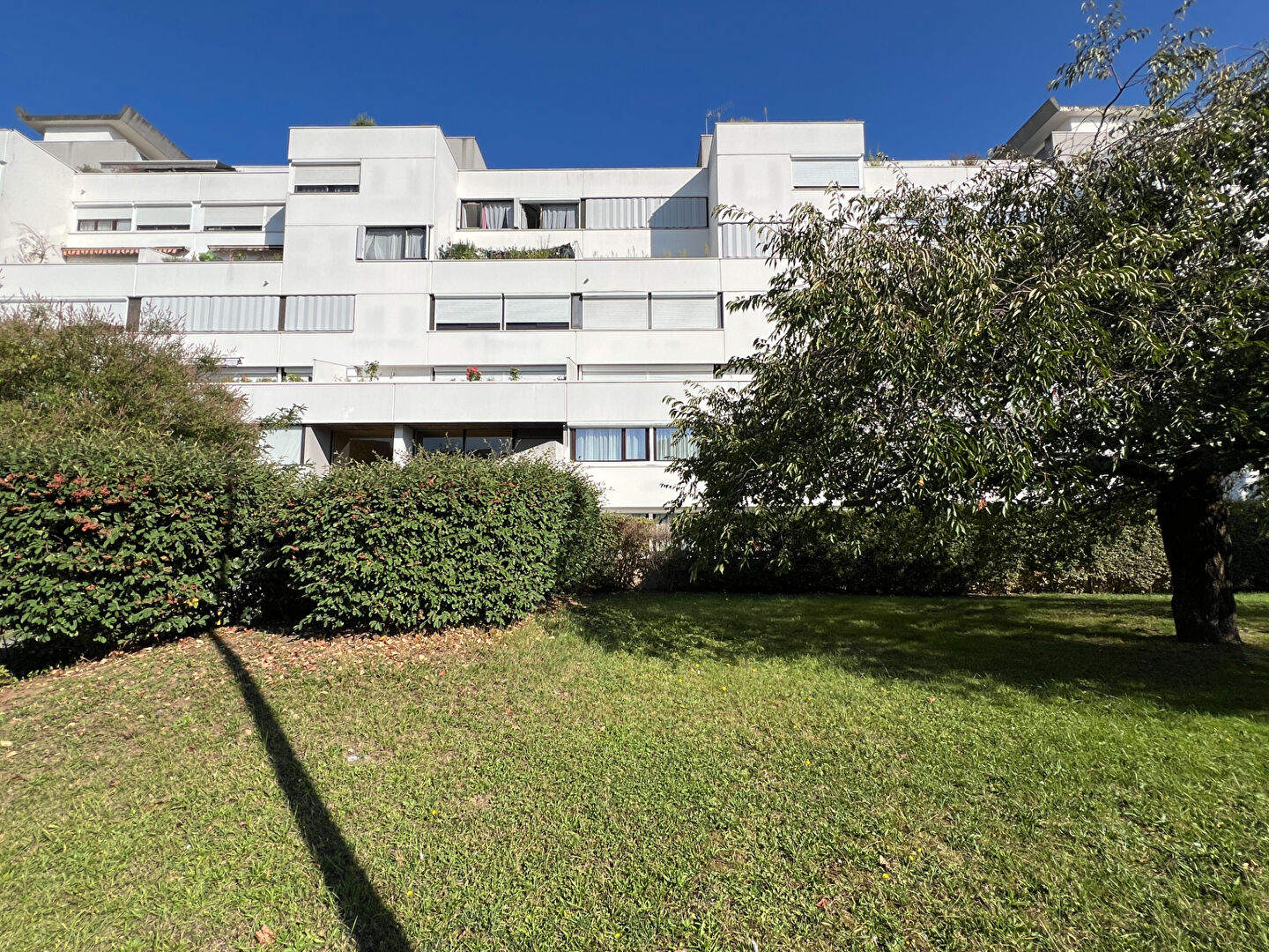 Agence immobilière de ERA Meaux AMP IMMO