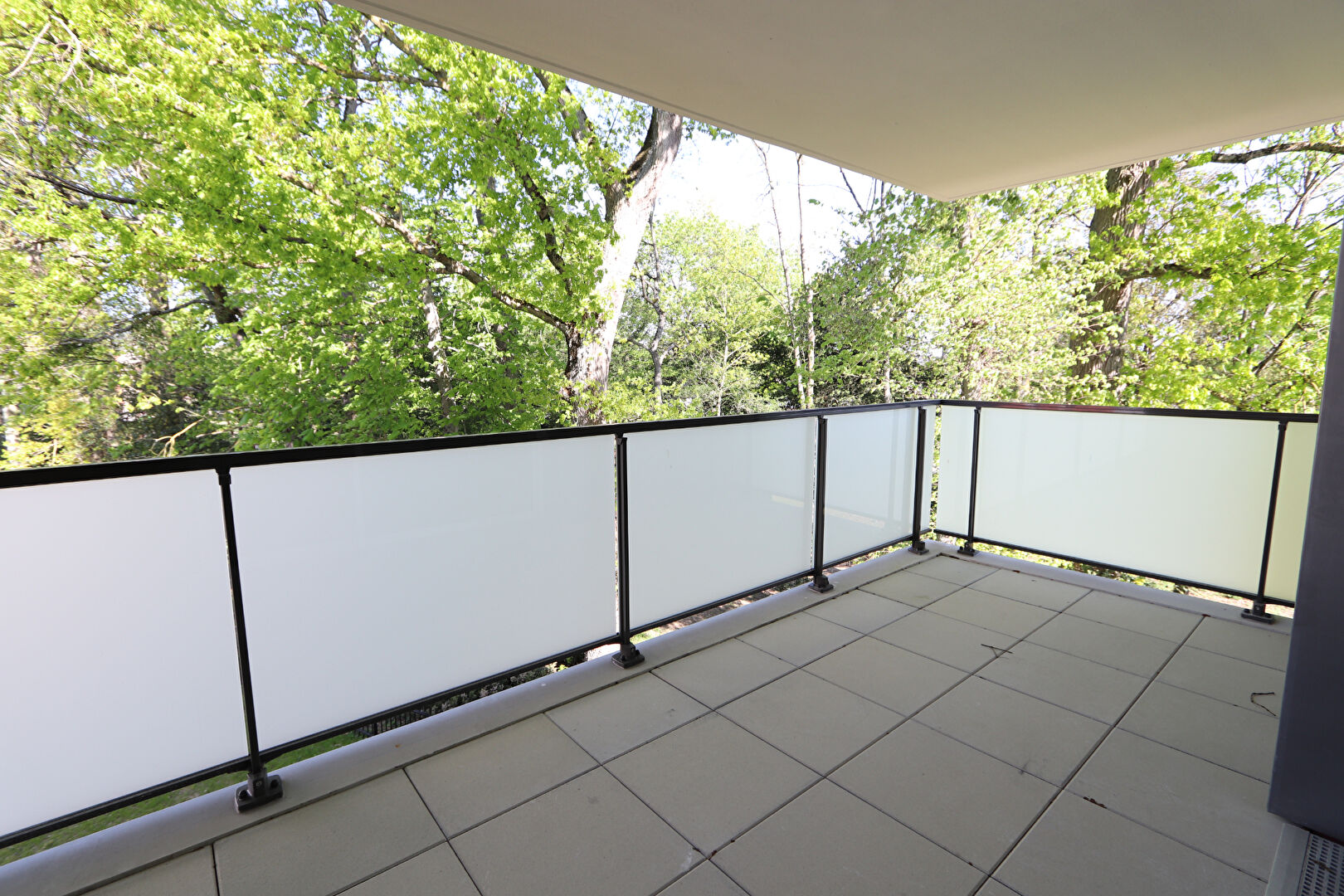 Photo T3 PROCHE COMMERCES ET TRANSPORTS image 1/6