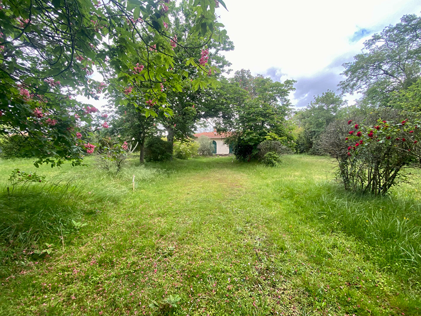 Agence immobilière de ERA Passion'immo