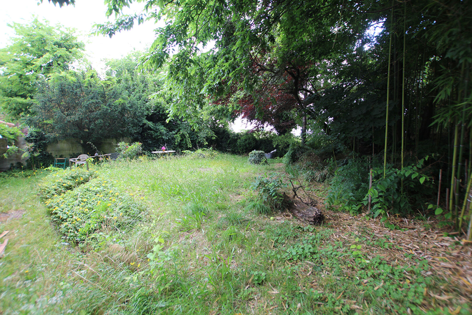 Photo Intra rocade image 2/2