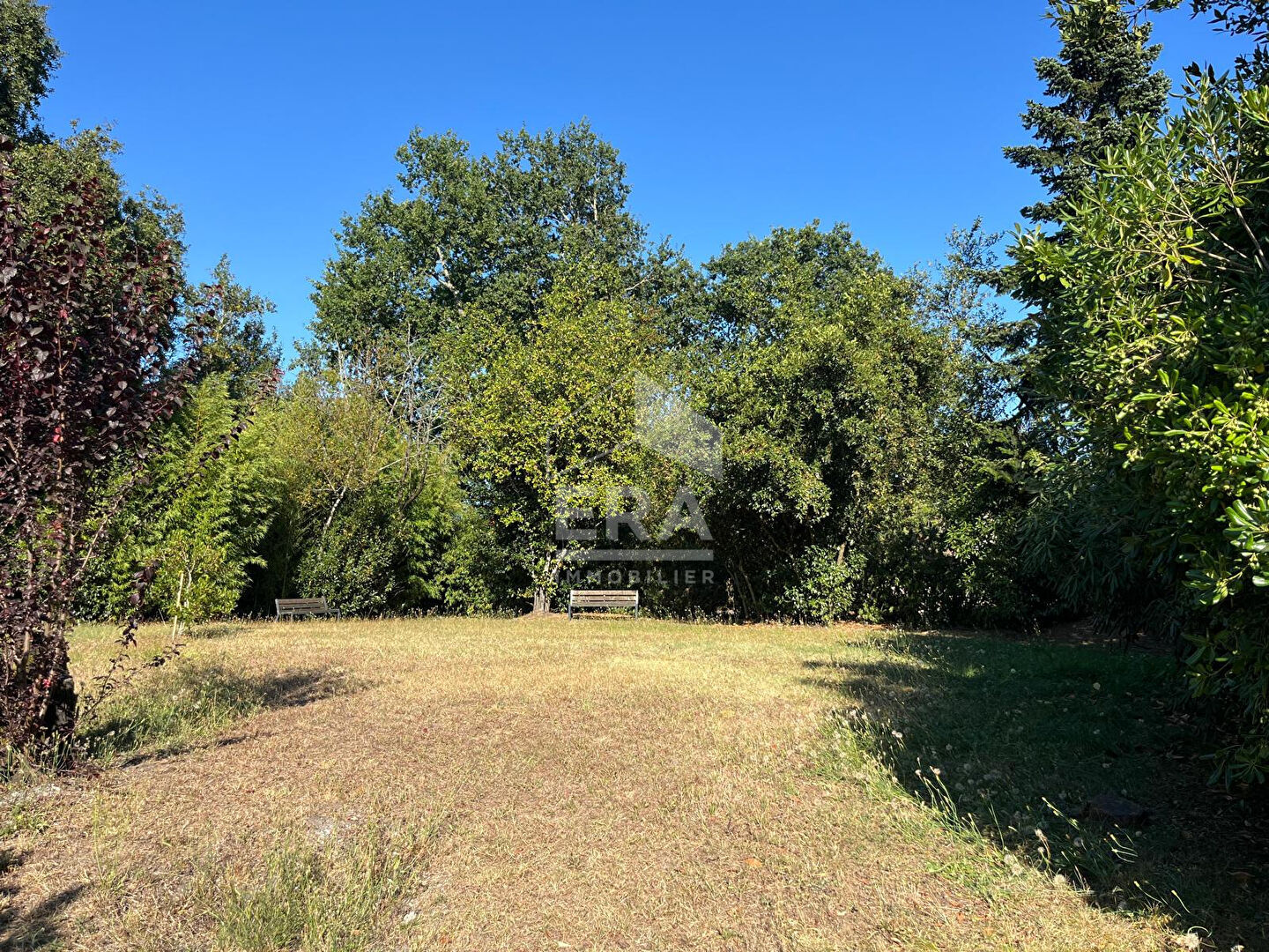 Photo Tram, Alouette à prox, appartement en rez de jardin image 3/6