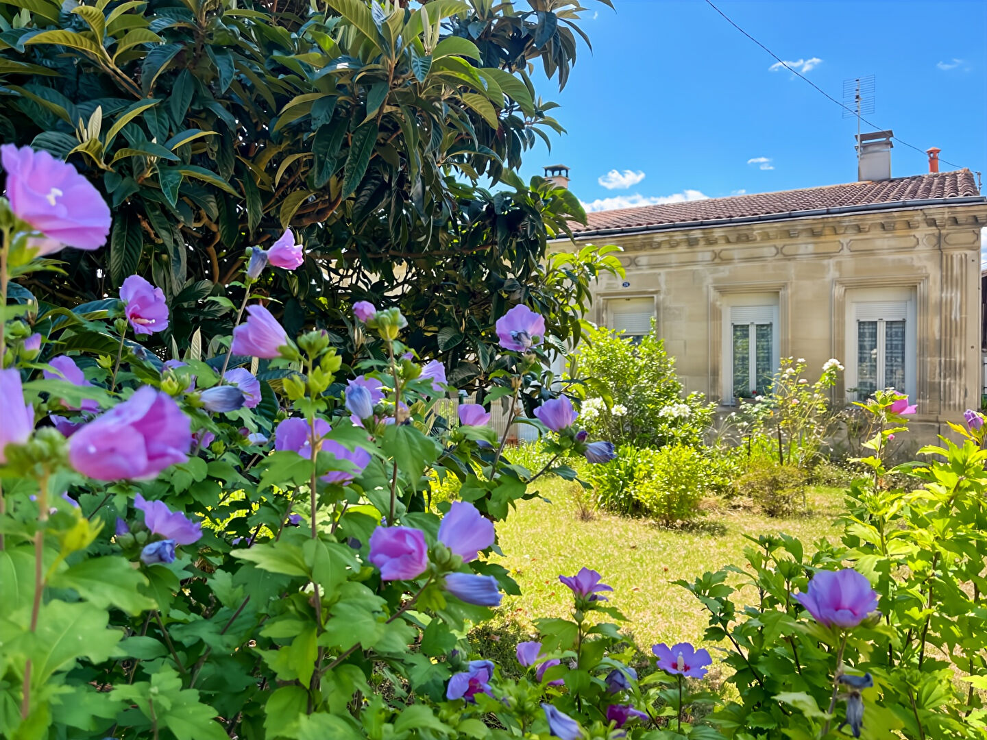 Agence immobilière de ERA Passion'immo