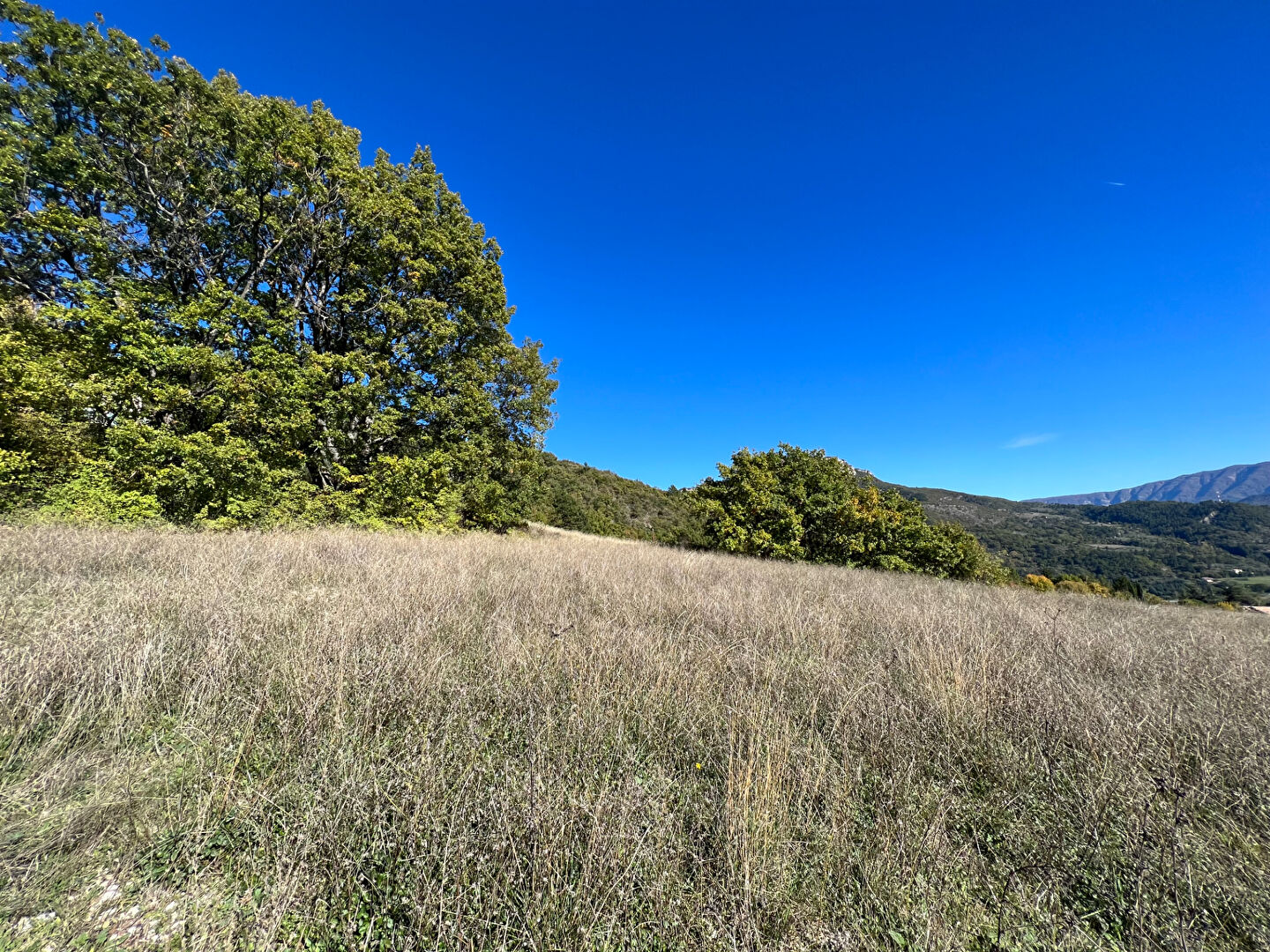Photo Terrain Sisteron 505.30 m² lot 2 image 4/6