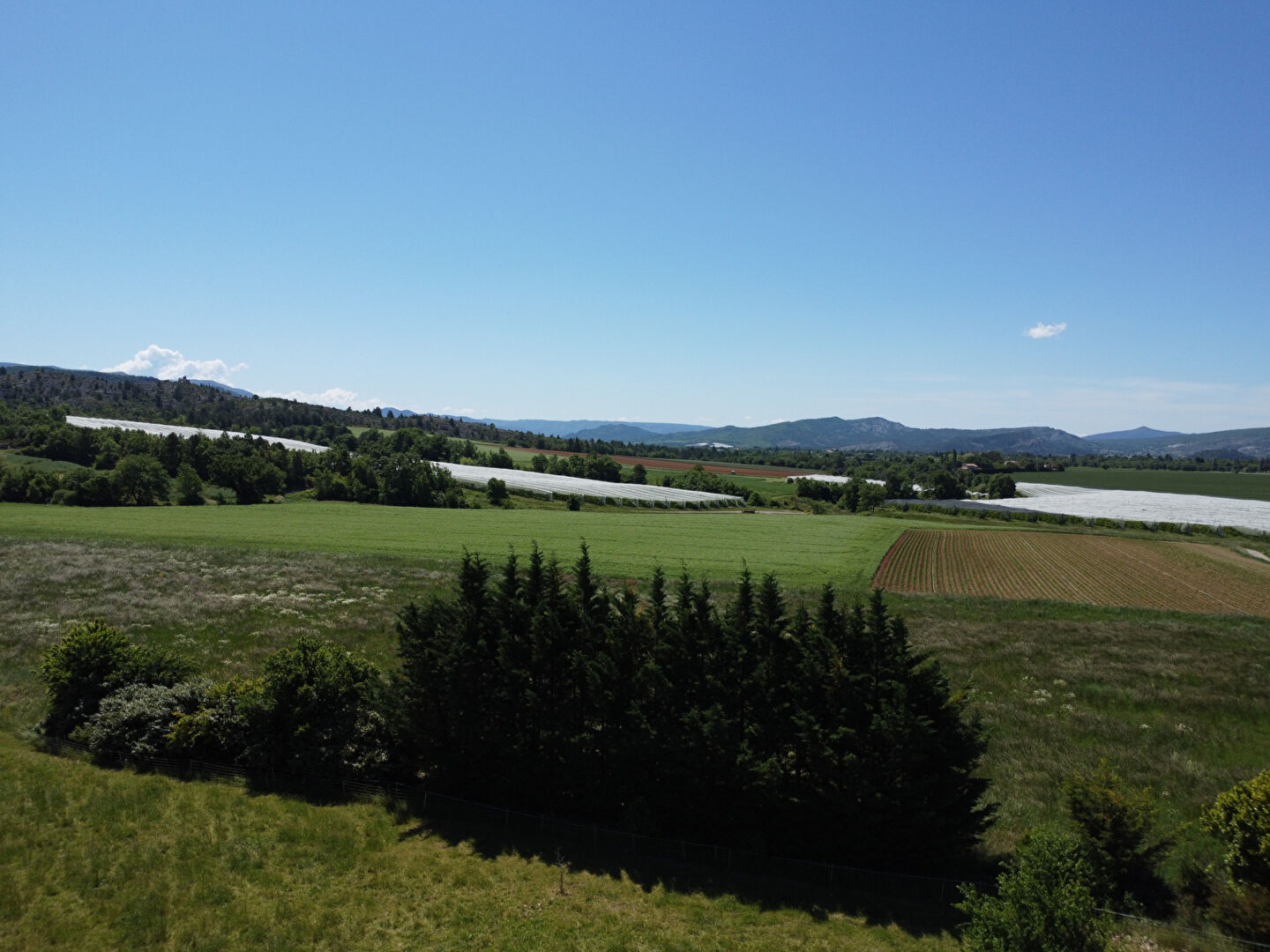 Photo Maison EN PIERRE secteur SISTERON de 266 m2 Bâtisse en pierres avec vue panoramique  Alpes de hautes provence image 6/6